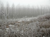 Tn DSC 0062